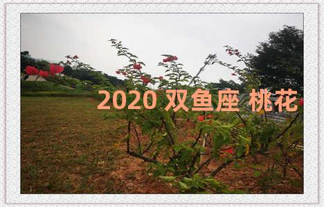 2020 双鱼座 桃花